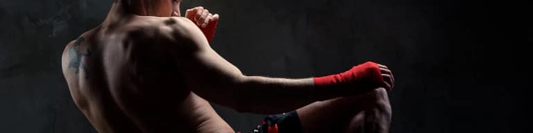 MartialArts Page Banner